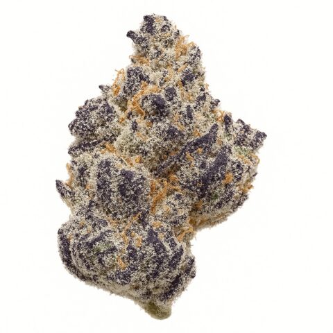 Grim Cherry Glass