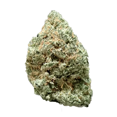 Whiteout Beaker