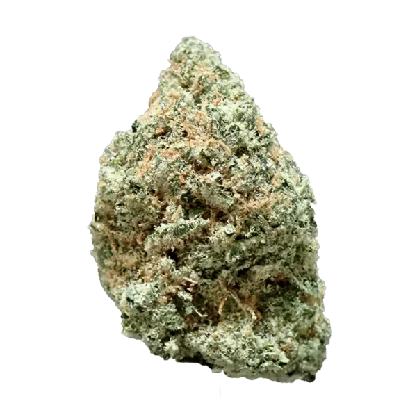 Whiteout Beaker