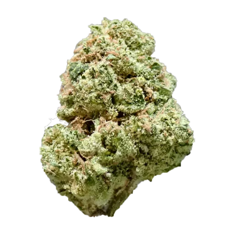 Glass Bird OG
