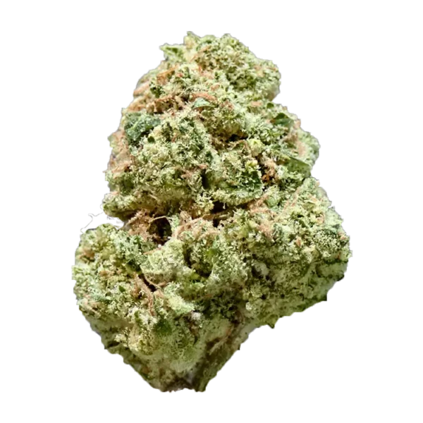 Glass Bird OG